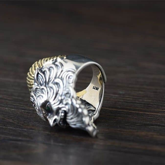 Gothic-Silber-Ringe-im-Biker-Stil