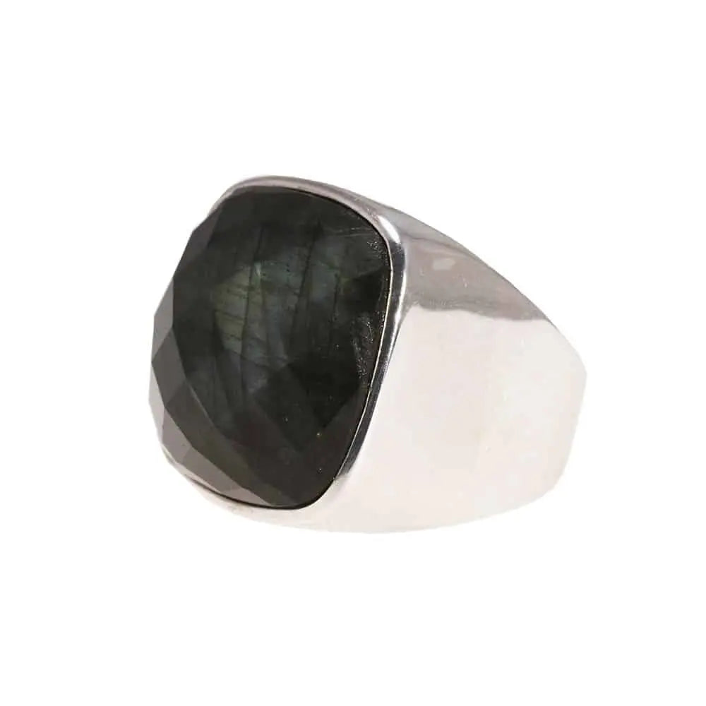 Minimalistischer Silberring für Damen Ringsilber