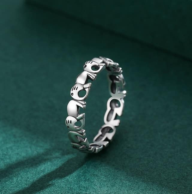 Silber-Ring-fur-Freundin